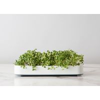 Chef'n Microgreen Grower